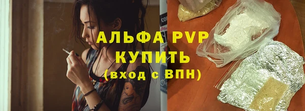 PSILOCYBIN Верея