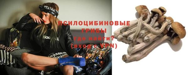 PSILOCYBIN Верея
