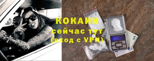 PSILOCYBIN Верея