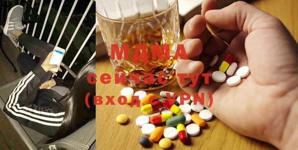 PSILOCYBIN Верея