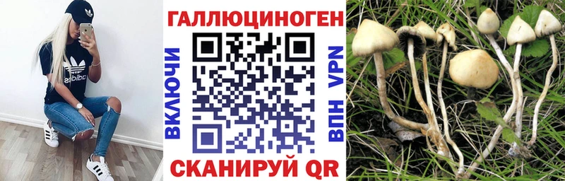 Купить закладки  Гаврилов-Ям  Галлюциногенные грибы Psilocybe 